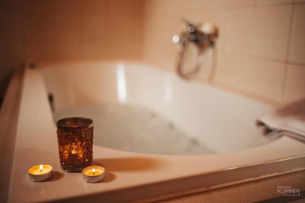 Le Heron 28Pers, Malmedy- Home Cinema, Balneo, Sauna, Jardin 外观 照片